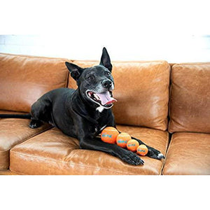 Outward Hound Squeaker Ballz Dog Toy Medium Size Fetch Balls 4 Pack Indoor and Outdoor Play