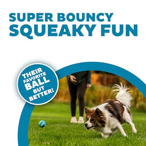 Outward Hound Squeaker Ballz Small Dog Toys, 4 Pack, Colorful Tennis Balls with Squeaker