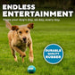 Outward Hound Squeaker Ballz Dog Toy Medium Size Fetch Balls 4 Pack Indoor and Outdoor Play