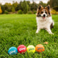 Outward Hound Squeaker Ballz Small Dog Toys, 4 Pack, Colorful Tennis Balls with Squeaker