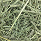 Oxbow Western Timothy Hay 90 oz All Natural Grass for Guinea Pigs Rabbits Chinchillas and Hamsters