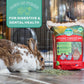 Oxbow Western Timothy Hay 90 oz All Natural Grass for Guinea Pigs Rabbits Chinchillas and Hamsters