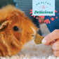 Oxbow Simple Rewards Apple Banana Treats 3 oz Timothy Hay Snacks for Guinea Pigs and Rabbits Made in USA