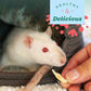 Oxbow Simple Rewards Banana Treats 0.5 oz Freeze Dried Fruit Snacks for Guinea Pigs and Rabbits Healthy Small Pet Snack