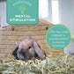 Oxbow Western Timothy Hay 90 oz All Natural Grass for Guinea Pigs Rabbits Chinchillas and Hamsters