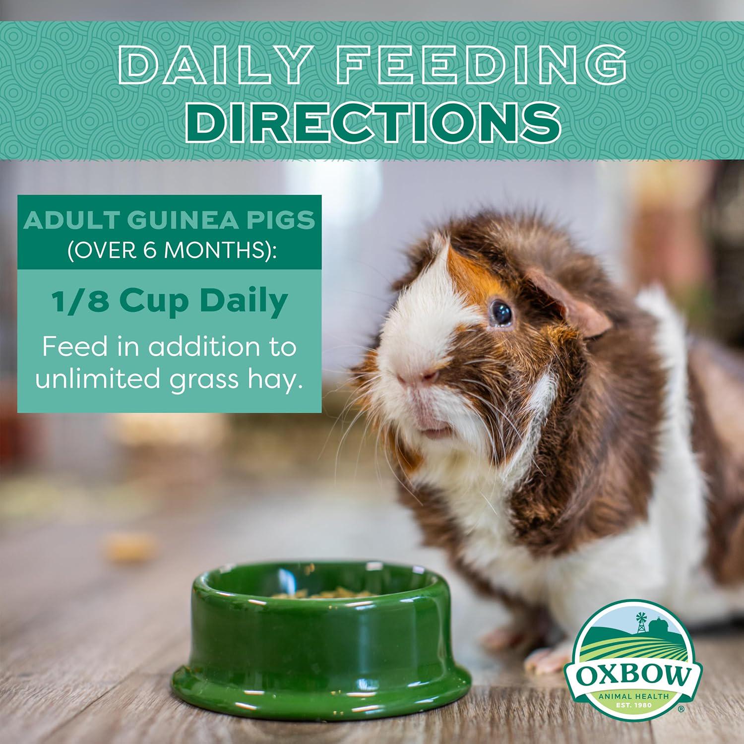 Pig Hay Guineadad Timothy Grass What Hay Should Guinea Pigs Eat