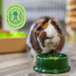 Oxbow Essentials Adult Guinea Pig Food, 10 lb, Timothy Hay-Based Pellets with Vitamin C, Made in USA