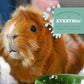 Oxbow Essentials Adult Guinea Pig Food 5 lb Bag High Fiber Pellets with Timothy Hay and Vitamin C Made in USA for Small Pets