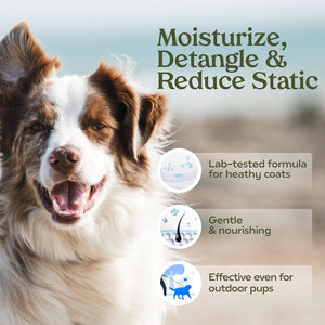 Pawfume Blue Ribbon Dog Grooming Spray 1 Pack Probiotic Alcohol Free Long Lasting Deodorizer and Detangler