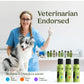 Pawfume Dog Cologne Spray Long Lasting Fresh Hypoallergenic Scent with Moisturizer Detangler 1 Pack