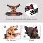 Phoepet No Pull Reflective Dog Harness Medium Orange with Handle 2 Metal Rings 3 Buckles Easy Wear