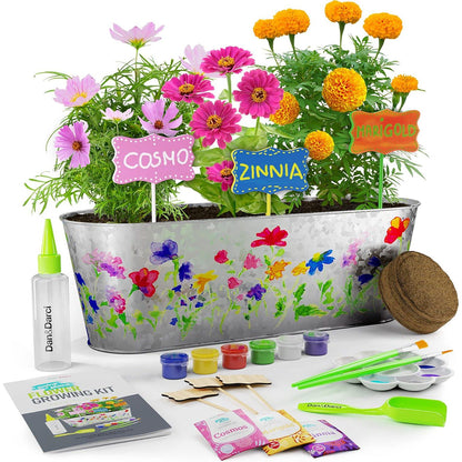 Paint & Plant Flower Growing Kit for Kids, DIY Garden Art Craft Gift for Girls & Boys Ages 5–12