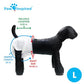 Paw Inspired Disposable Dog Diapers, 20 Ct, Female, Large Size, Ultra Protection for Heat & Incontinence