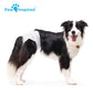 Paw Inspired Disposable Dog Diapers, 20 Ct, Female, Large Size, Ultra Protection for Heat & Incontinence