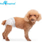 Paw Inspired Female Dog Diapers 32 Count Disposable Small Ultra Protection for Heat Excitable Urination Incontinence