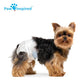 Paw Inspired Disposable Female Dog Diapers X Small 32 Count for Heat Excitability or Incontinence