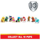 Paw Patrol 10th Anniversary Gift Pack Set of 10 Collectible Action Figures All Paws on Deck Toy Set for Kids Ages 3 Plus