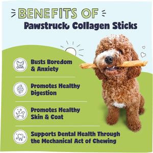 Pawstruck 12 Inch Beef Collagen Sticks Dog Chews 5 Pack Rawhide Alternative with Glucosamine and Chondroitin