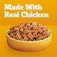 Pedigree Wet Dog Food Choice Cuts in Gravy Variety Pack, 3.5 oz Pouches x 30, Adult Dogs