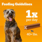 Pedigree Dentastix Large Dog Treats 2.08 lb Beef Flavor Chews 40 Count Daily Dental Care