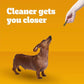 Pedigree Dentastix Fresh Flavor Dog Treats 1.54 lb Bag 102 Treats for Small and Toy Breeds