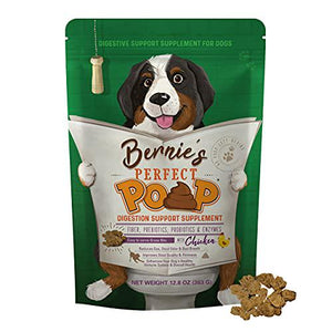 Bernie's Best Perfect Poop Dog Digestive Supplement 12.8 oz Chicken Flavor Fiber Probiotics and Enzymes for Gut Health