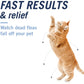 PetArmor CapAction Flea Tablets for Cats 2 to 25 lbs 6 Fast Acting Oral Doses Starts in 30 Minutes