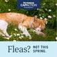 PetArmor CapAction Flea Tablets for Cats 2 to 25 lbs 6 Fast Acting Oral Doses Starts in 30 Minutes
