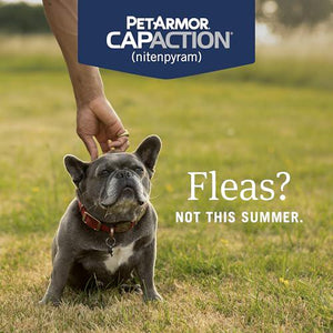 PetArmor CapAction Flea Pills for Dogs 2–25 lbs, 6 Doses, Fast Acting, Kills Fleas Within 30 Minutes