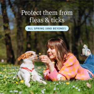 PetArmor Plus Flea & Tick Treatment, 3 Doses, Small Dogs 5–22 lbs, Waterproof Topical Fast-Acting Formula