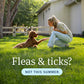 PetArmor Plus Flea & Tick Prevention for Dogs, Large Dogs 45–88 lbs, 6 Doses, Waterproof Topical