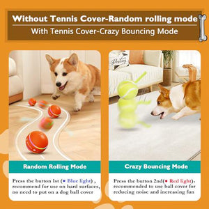 PetDroid Interactive Dog Ball 2025 Motion Activated USB Rechargeable for All Dogs