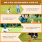 PetDroid Interactive Dog Ball 2025 Motion Activated USB Rechargeable for All Dogs