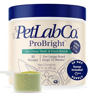 PetLab Co ProBright Dental Powder, 1?Pc, Teeth Cleaning & Breath Freshening for Large Dogs, Easy Application