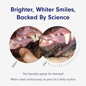 PetLab Co ProBright Dental Powder, 1?Pc, Teeth Cleaning & Breath Freshening for Large Dogs, Easy Application