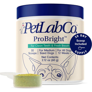 PetLab Co ProBright Dog Dental Powder, Medium Dogs, Tartar & Bad Breath Support, Easy Water Additive