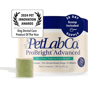 PetLab Co ProBright Dental Powder for Dogs, Advanced Formula for Tartar & Breath, Small Dog Supplement