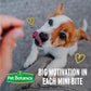 Pet Botanics Training Rewards Dog Treats Mini Soft Bacon Flavor 500 Treats 10 oz Pouch
