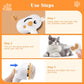 Jicoot 3 in 1 Pet Steam Brush for Cats and Dogs Hair Remover Comb Waterless Shampoo Spray Brush