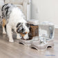 Petmate Pet Cafe 3 Gallon Water Dispenser Tan BPA Free Cat and Dog Water Bowl Made in USA