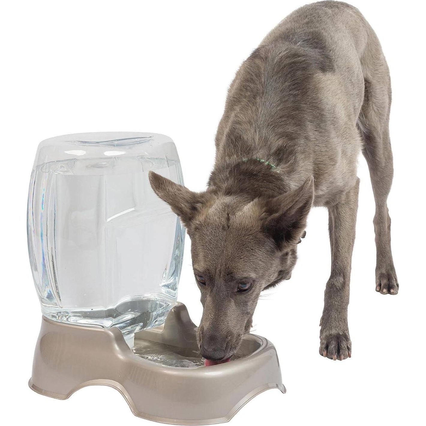 Petmate Pet Cafe 3 Gallon Water Dispenser Tan BPA Free Cat and Dog Water Bowl Made in USA