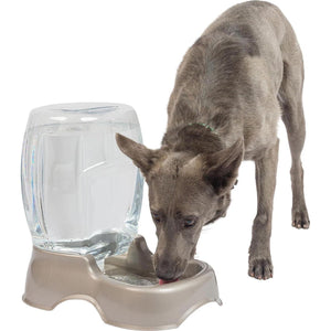 Petmate Pet Cafe 3 Gallon Water Dispenser Tan BPA Free Cat and Dog Water Bowl Made in USA