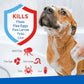 PLUS Flea & Tick Shampoo with Precor, 24 oz, Pump, Sensitive Skin Formula for Dogs & Cats Over 12 Weeks