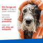 Plus Flea and Tick Shampoo with Precor for Dogs and Cats Sensitive Skin Formula 12 oz Bottle