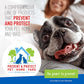 Plus Flea and Tick Shampoo with Precor for Dogs and Cats Sensitive Skin Formula 12 oz Bottle