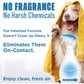 Pooph Pet Odor Eliminator Spray, 32 oz, 2 Pack, Dismantles Dog & Cat Urine, Poop, Pee Odors on Contact