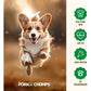 Pork Chomps Pressed Pork Skin Chews for Dogs 4.5 Inch Bones 2 Count Highly Digestible
