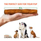 Pork Chomps Roasted Pork Skin Dog Chews 6 Inch Twists Pack of 15 Long Lasting Tasty Treats for Chewing