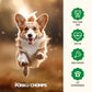 Pork Chomps Roasted Pork Skin Dog Chews 6 Inch Twists Pack of 15 Long Lasting Tasty Treats for Chewing