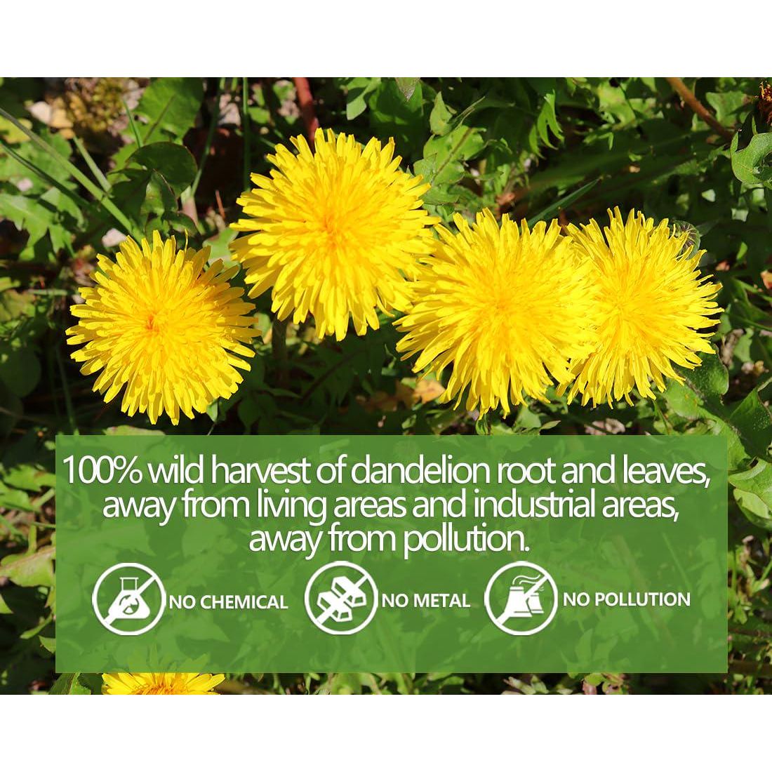 ULTHMOK Premium Dandelion Leaf And Root Tea,50 Tea Bags /3.53Oz, For Liver And Kidney Health, Roasted Detox Herbal Tea. Support Digestion And Boost Immune System, Caffeine Free.